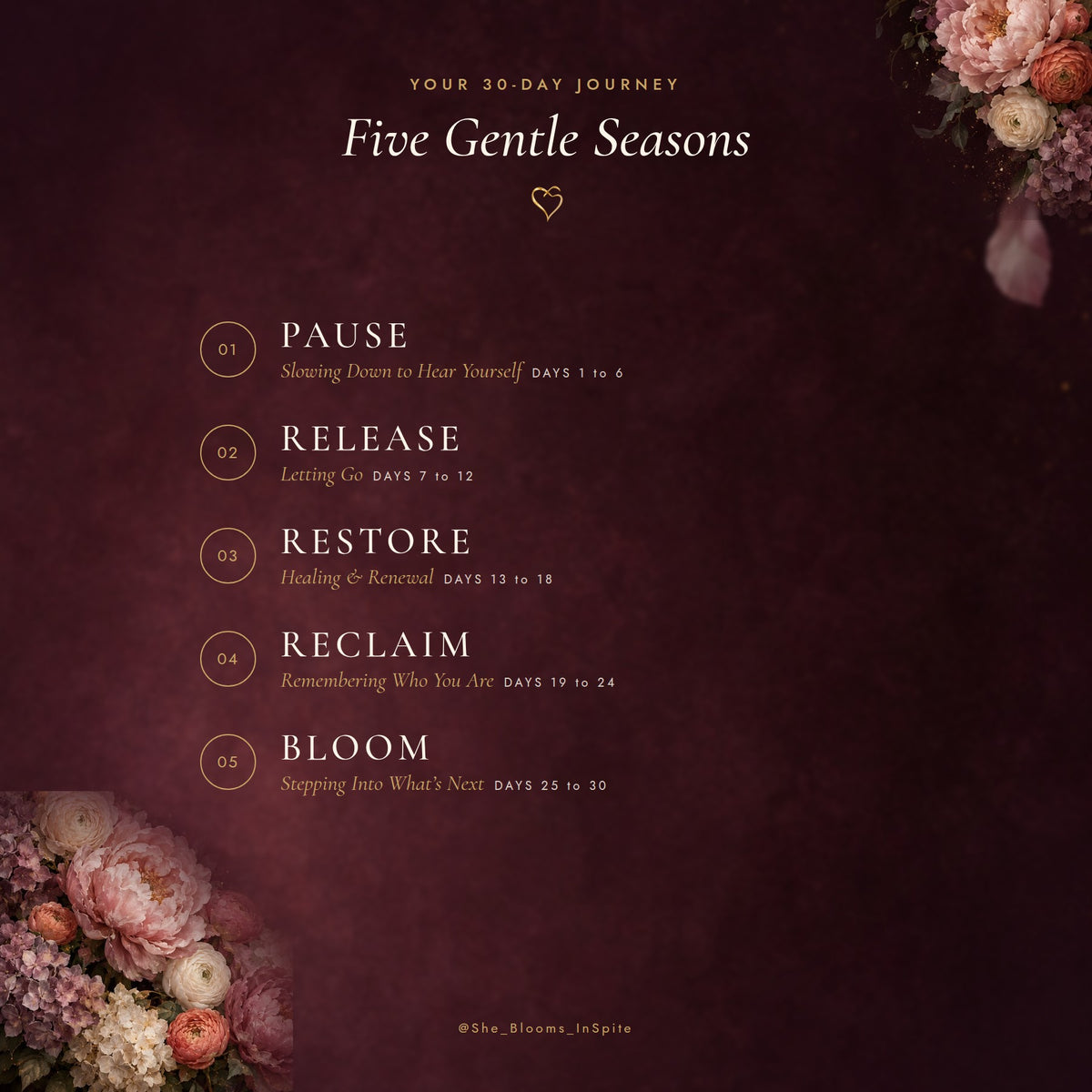 Your 30-day journey in five stages: Pause, Release, Restore, Reclaim, Bloom