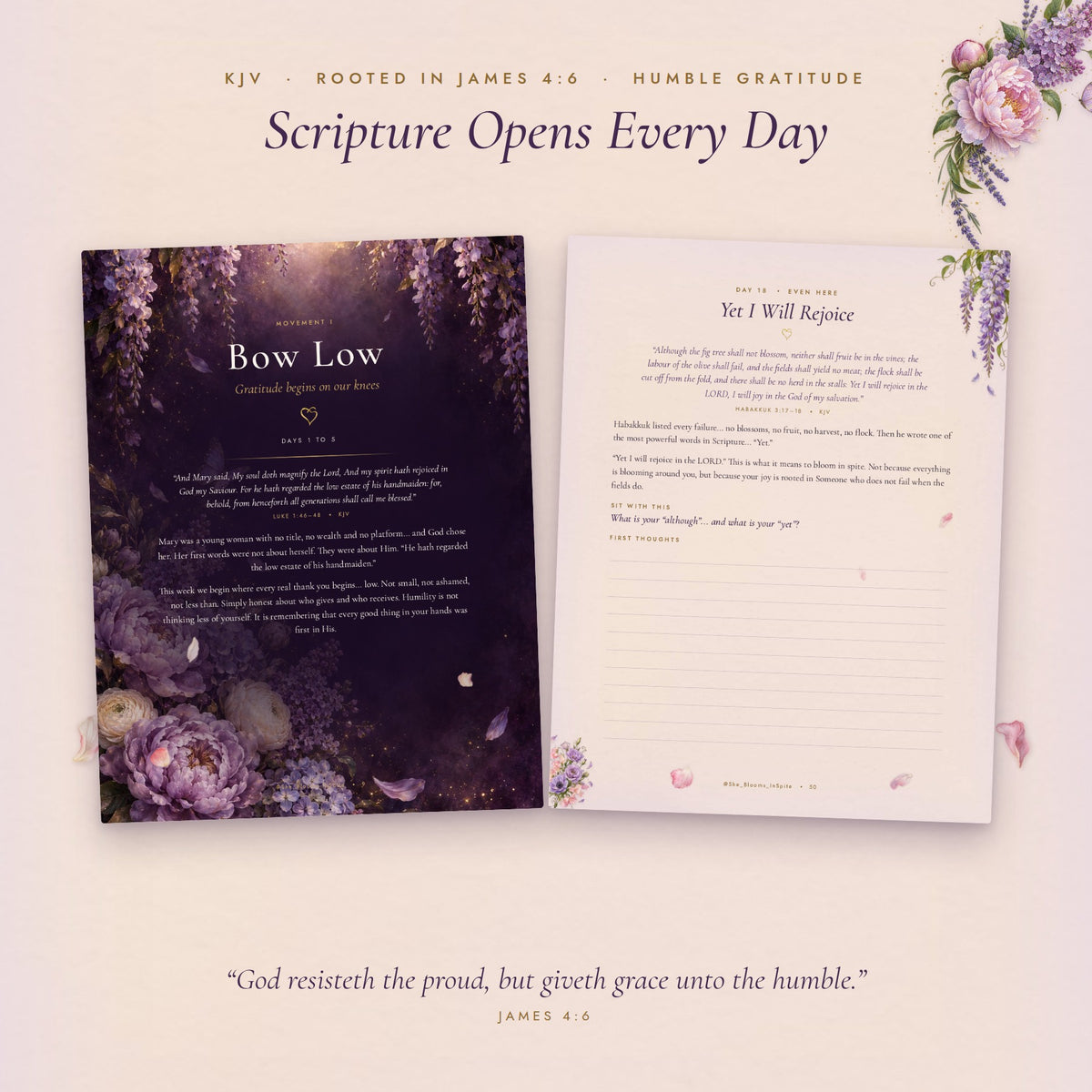 Gratitude Creates More Magic journal FAITH INTEGRATED